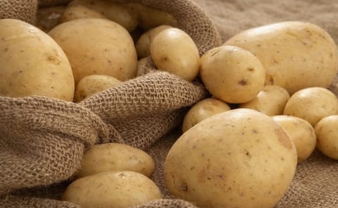 Low prices of imported potatoes haunt Greek potato producers Low prices of imported potatoes haunt Greek potato producers