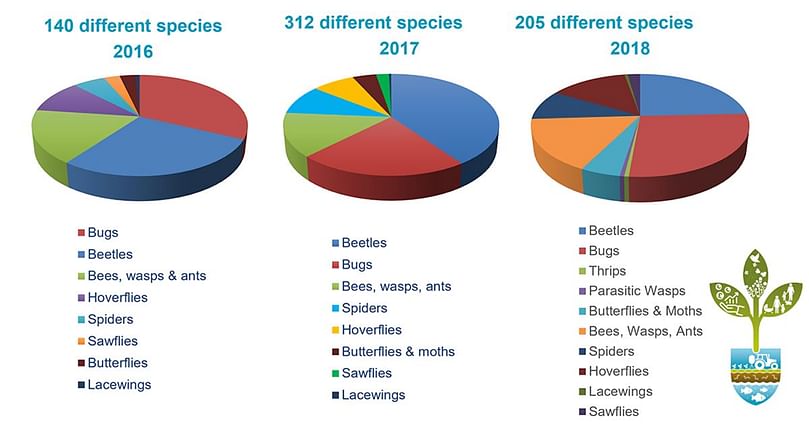 Number of species collected