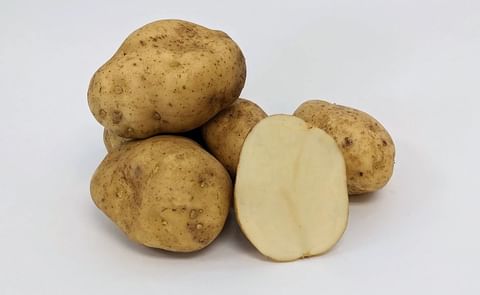 GREEN MOUNTAIN GREEN MOUNTAIN