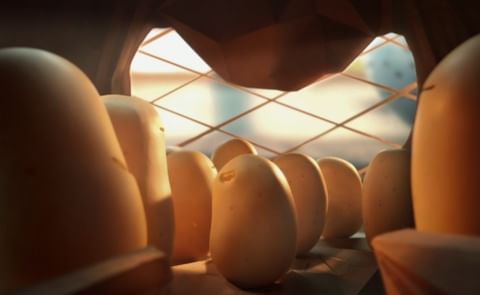 GreenVale’s ‘Pretty Perfect Potatoes’ make their TV Debut GreenVale’s ‘Pretty Perfect Potatoes’ make their TV Debut