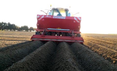 Grimme potato planter Grimme potato planter