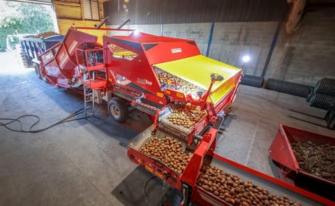 The MultiSep roller separator was positioned between the presentation belt and the pre-grading rollers. The MultiSep roller separator was positioned between the presentation belt and the pre-grading rollers.