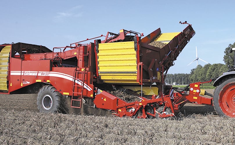 SV de Grimme. SV de Grimme.