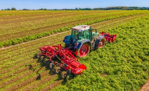 Grimme Toppa 600 Grimme Toppa 600