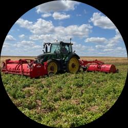 Grimme - Toppa Haulm Toppers