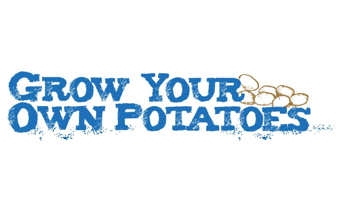 'Grow your own potatoes' teaches kids about the origin of their food 'Grow your own potatoes' teaches kids about the origin of their food
