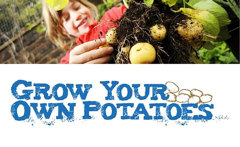 Grow your own potatoes
Grow your own potatoes