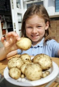 Grow your own potatoes:
the results on a plate Grow your own potatoes:
the results on a plate