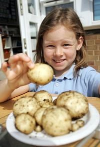 Grow your own potatoes:
the results on a plate