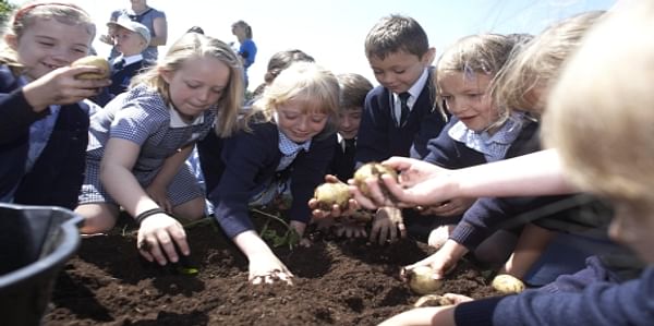  Grow your own potatoes: It's time to start digging!