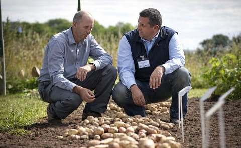 Seed potato exports from GB outstrip previous levels once more Seed potato exports from GB outstrip previous levels once more