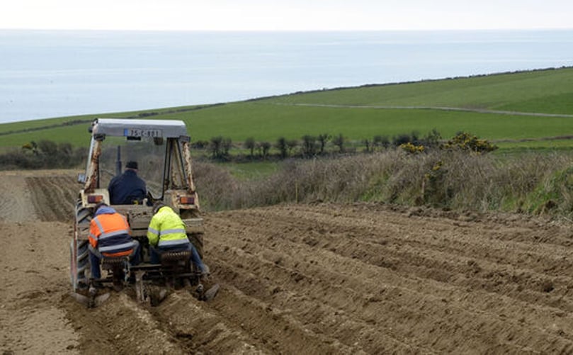 Growers in Garretstown, Co Cork, planting British queens seed potatoes last year. (Courtesy: Denis Boyle) Growers in Garretstown, Co Cork, planting British queens seed potatoes last year