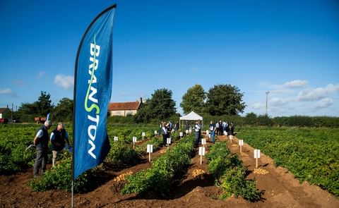 Potato growers toured Branston’s trial plots in Caythorpe, Lincolnshire, to explore the next generation of varieties. Potato growers toured Branston’s trial plots in Caythorpe, Lincolnshire, to explore the next generation of varieties.