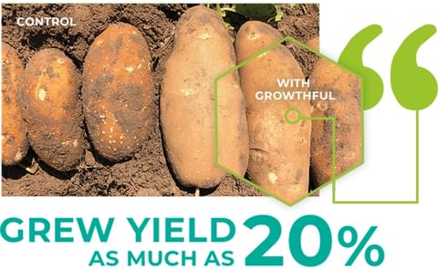 Growthful™ testing opportunities Growthful™ testing opportunities