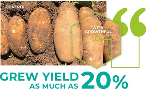 Growthful™ testing opportunities Growthful™ testing opportunities