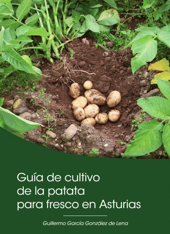 Guía de cultivo de la patata para fresco en Asturias (España)