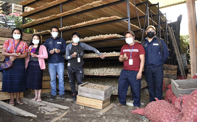 La papa tiene un amplió mercado de distribuidores y consumidores. La papa tiene un amplió mercado de distribuidores y consumidores.