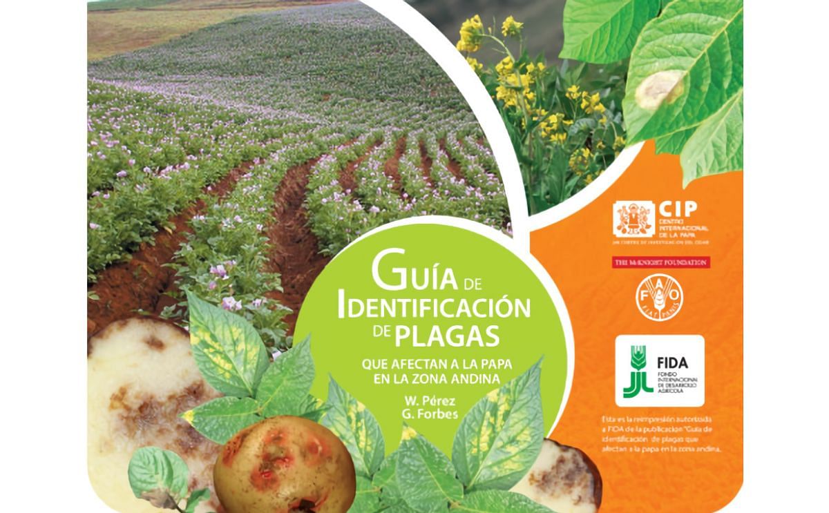 Carátula de la guía que el CIP acaba de publicar para identificar las plagas que afectan a la papa Carátula de la guía que el CIP acaba de publicar para identificar las plagas que afectan a la papa