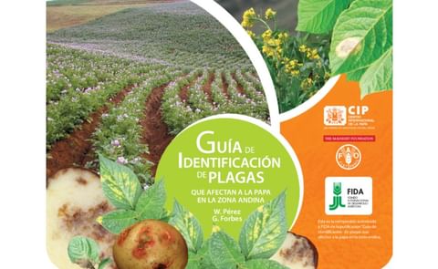 El CIP publica guía para identificar las plagas que afectan a la papa El CIP publica guía para identificar las plagas que afectan a la papa