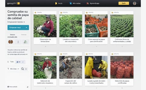 ¿En qué consiste la degeneración de la semilla y cuáles son las estrategias para enfrentarla? ¿En qué consiste la degeneración de la semilla y cuáles son las estrategias para enfrentarla?