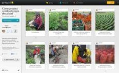 ¿En qué consiste la degeneración de la semilla y cuáles son las estrategias para enfrentarla? ¿En qué consiste la degeneración de la semilla y cuáles son las estrategias para enfrentarla?