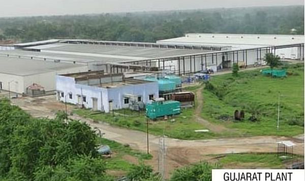 Himalya Gujarat plant