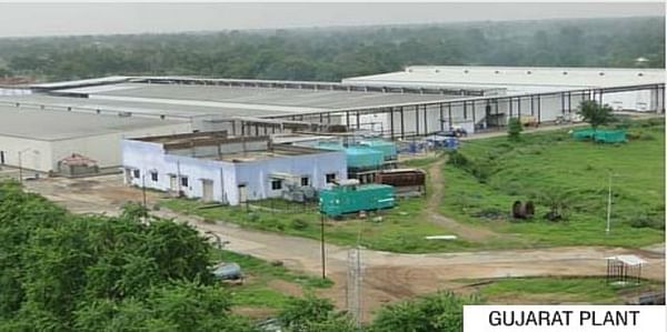 Himalya Gujarat plant