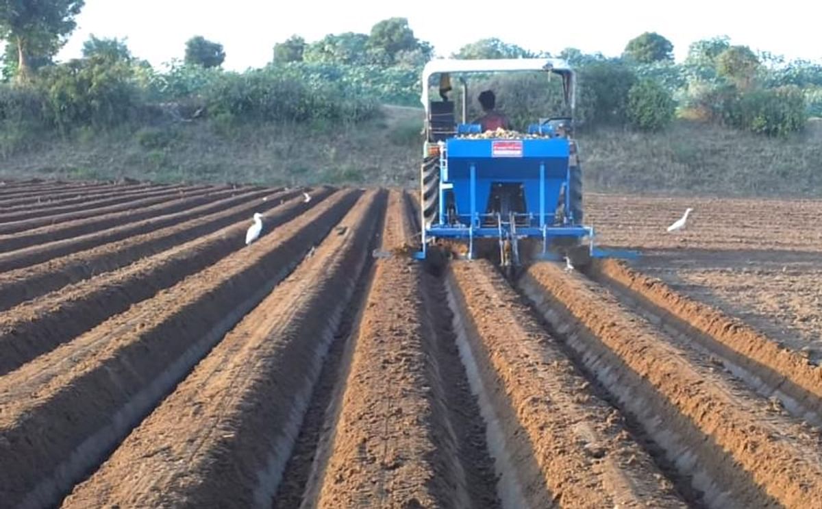 Potato Production India estimated at 47 million tonnes. Potato Production India estimated at 47 million tonnes.