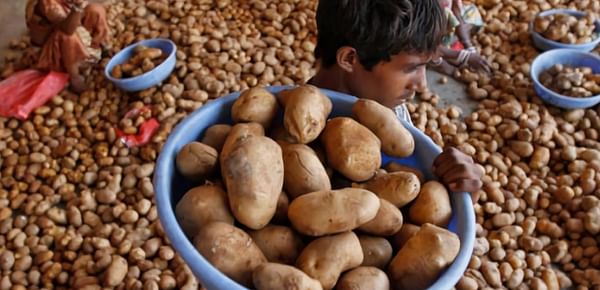 Pepsico India under pressure to drop lawsuits for growing its potato variety without permission