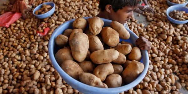 Pepsico India under pressure to drop lawsuits for growing its potato variety without permission