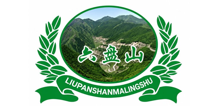 Guyuan Liupan Mountain Potato Industry Co., Ltd. Guyuan Liupan Mountain Potato Industry Co., Ltd.
