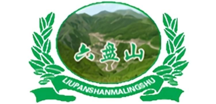 Guyuan Liupan Mountain Potato Industry Co., Ltd.