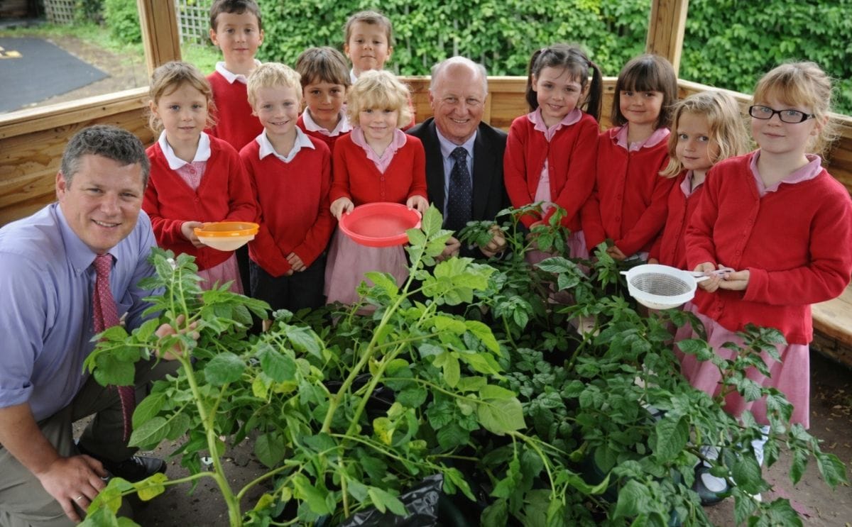 UK's Grow Your Own Potatoes: MPs lend a hand at harvesting time