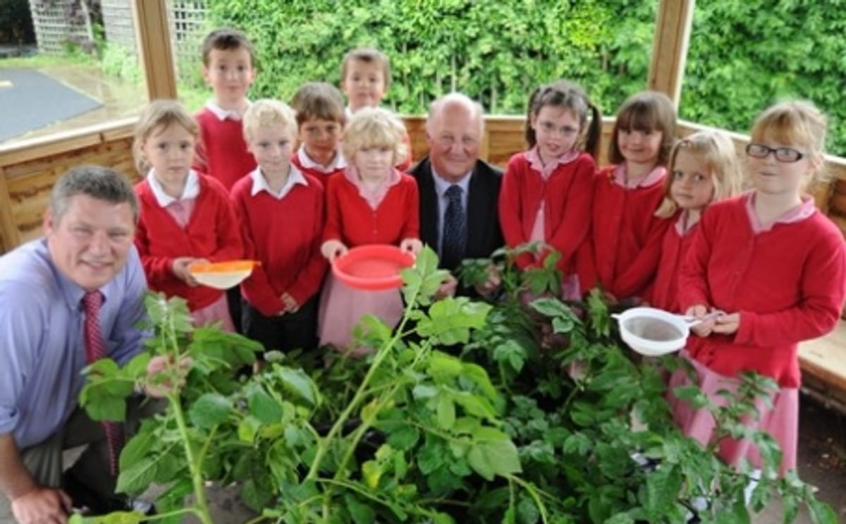 GYOP2013 Grow your own potatoes GYOP2013 Grow your own potatoes