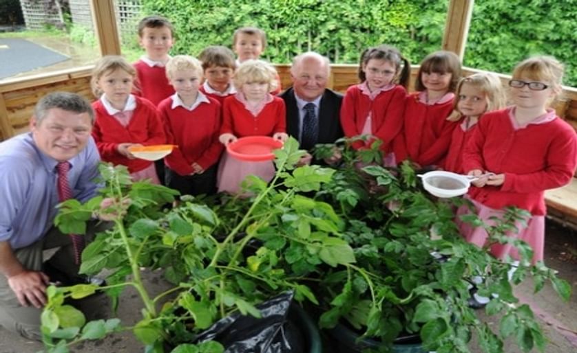 UK's Grow Your Own Potatoes: MPs lend a hand at harvesting time