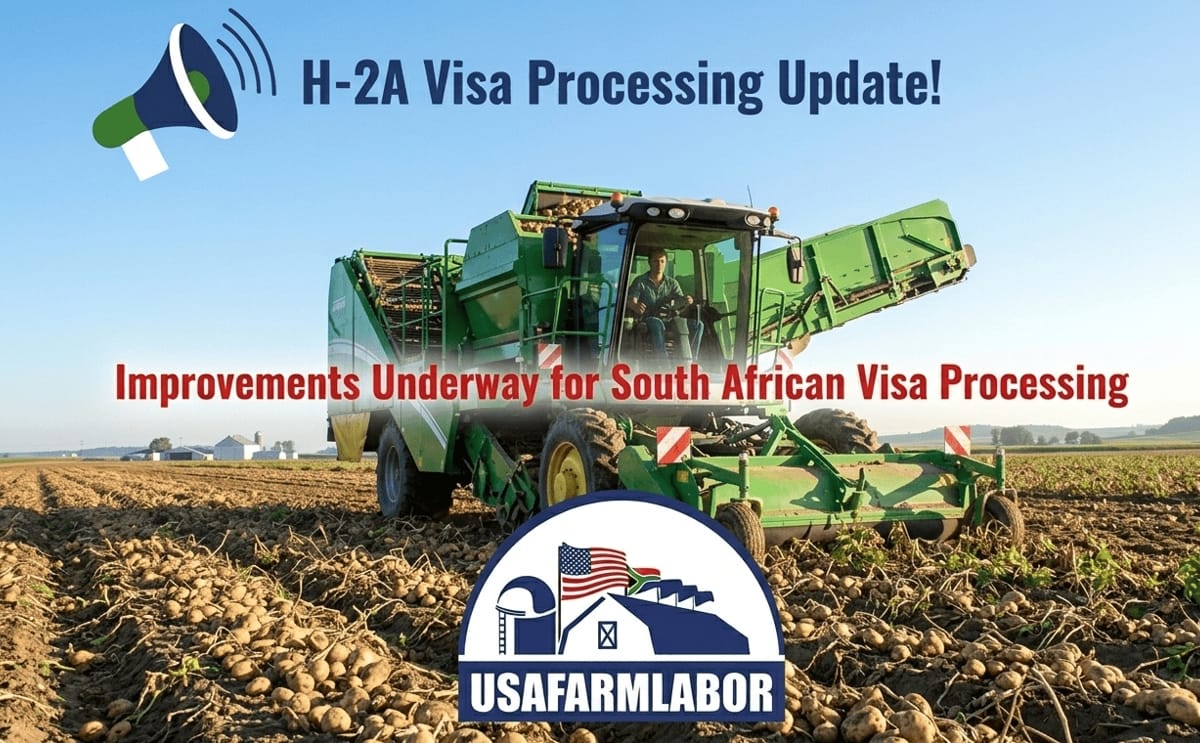 Potato growers in Minnesota and North Dakota face delays in securing H-2A workers, raising concerns over planting timelines, labor shortages and potential yield impacts.