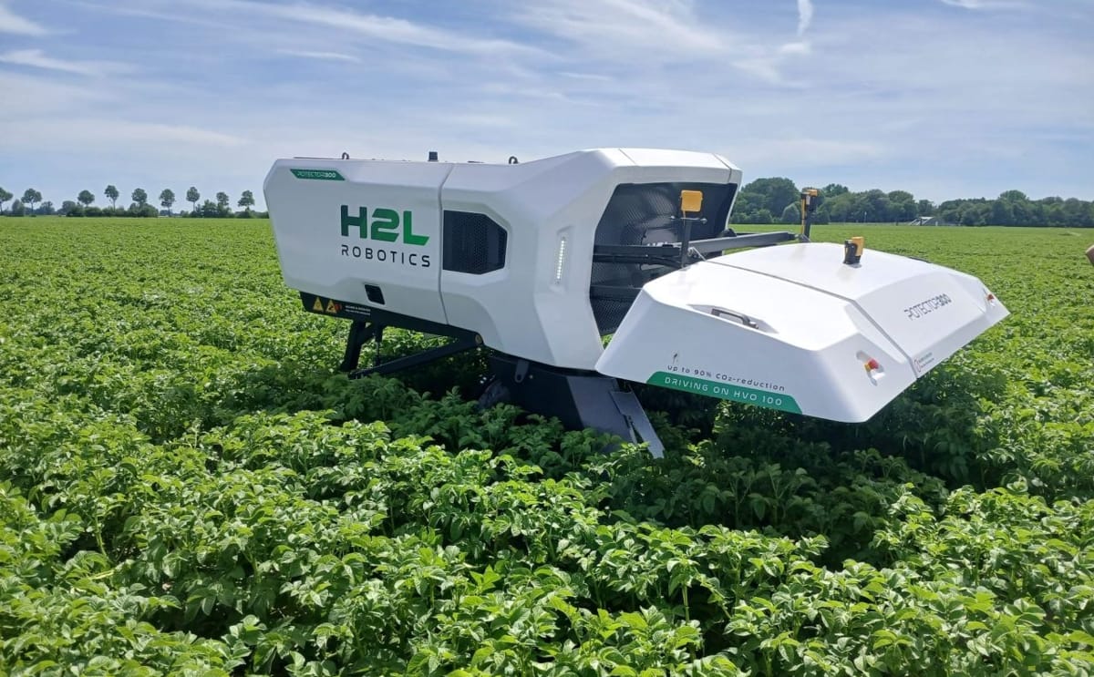 H2L's autonomous AI-powered robot navigates a Dutch seed potato field, scanning crops to identify virus-infected plants during a live field demonstration.
