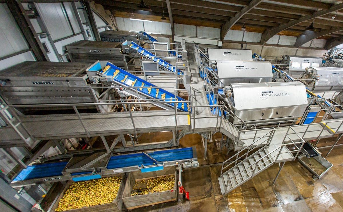 Haith installs four potato sorting lines at R S Cockerill’s Haith installs four potato sorting lines at R S Cockerill’s