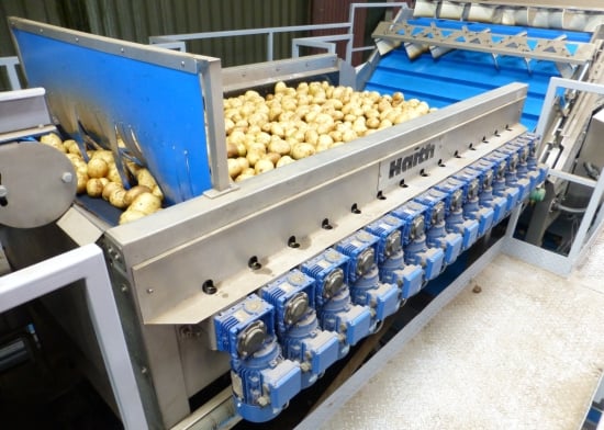 Drying potatoes with the new Haith Sponge Drier with direct drive Drying potatoes with the new Haith Sponge Drier with direct drive