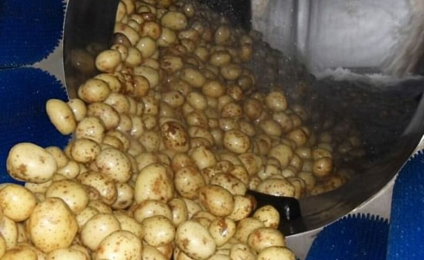 Washing potatoes on an industrial scale