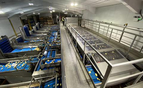 Potato Europe visitors can see the latest handling innovations from Haith