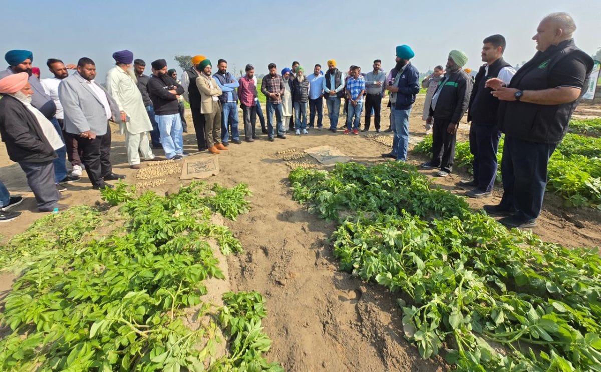 Farmers and technical specialists review early-generation seed potato plots and varietal performance during Harinder Farms’ 3rd Innovative Seed Show field demonstration Farmers and technical specialists review early-generation seed potato plots and varietal performance during Harinder Farms’ 3rd Innovative Seed Show field demonstration