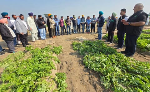 Farmers and technical specialists review early-generation seed potato plots and varietal performance during Harinder Farms’ 3rd Innovative Seed Show field demonstration. Farmers and technical specialists review early-generation seed potato plots and varietal performance during Harinder Farms’ 3rd Innovative Seed Show field demonstration.