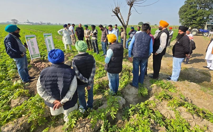 Participants gather around strip trials and yield samples to assess crop uniformity and discuss seed selection, nutrition strategies, and agronomic practices at the Harinder Farms event.