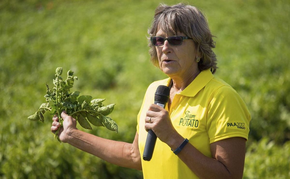 Potatoes look good in North Dakota, Minnesota. Potatoes look good in North Dakota, Minnesota.