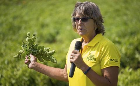 NDSU Professor Harlene Hatterman-Valenti talking about her research into the effects of the herbicides dicamba and glyphosate on potatoes. One of her findings is that weather can affect the level of harm done to potatoes by dicamba. NDSU Professor Harlene Hatterman-Valenti talking about her research into the effects of the herbicides dicamba and glyphosate on potatoes. One of her findings is that weather can affect the level of harm done to potatoes by dicamba.