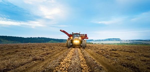 Canadian Potato Crop and Harvest Update October 26, 2020