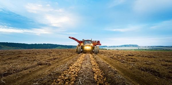 Canadian Potato Crop and Harvest Update October 26, 2020
