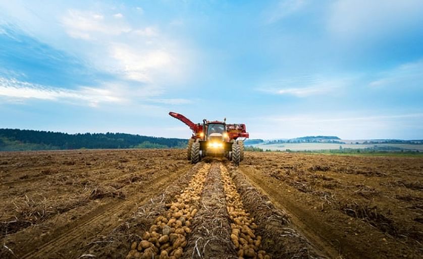 Canadian Potato Crop and Harvest Update October 26, 2020 (Courtesy: McCain Foods)