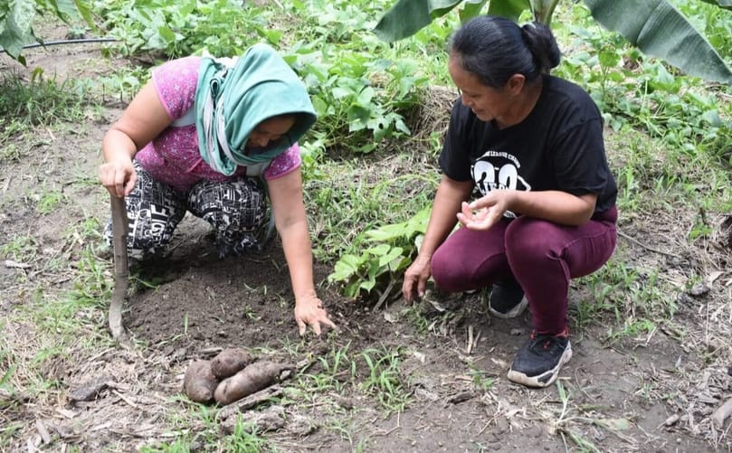 Machiguenga women follow harvesting practices inherited from their grandparents. (Courtesy: Conservation International Peru)